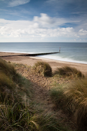 Grass, Hengistbury Head